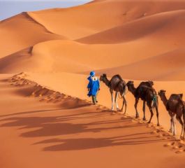 Fas'ın Büyüsü Marakeş Turu 7 Gece Akşam Yemekleri Dahil THY ile Kurban Bayramı Özel