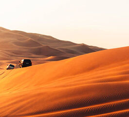 ANKARA'DAN VİZE DAHİL DUBAİ TURU Pegasus Havayolları Özel Seferi ile 3 gece